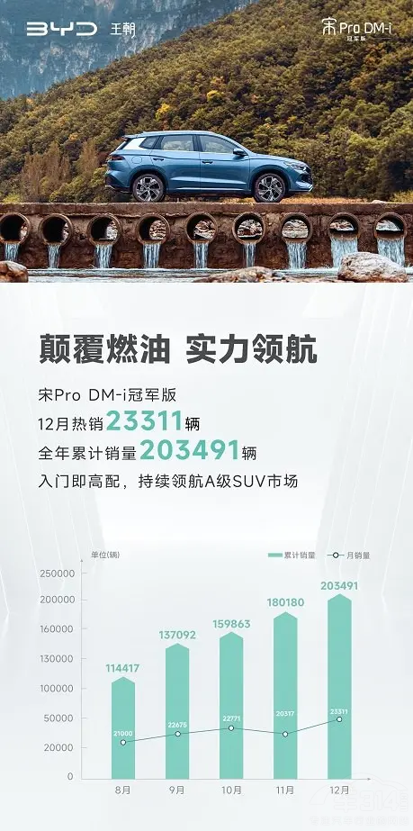 ֱ��2�f���ȁ�����Pro DM-i�sҫ������