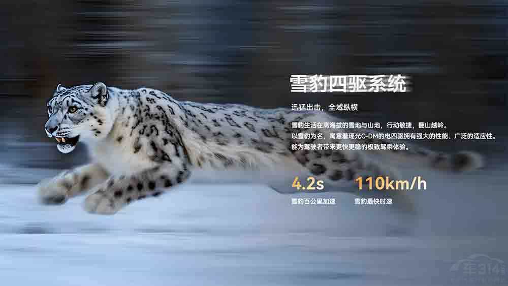 ��;����C-DM�������������(q��)����15.99�f