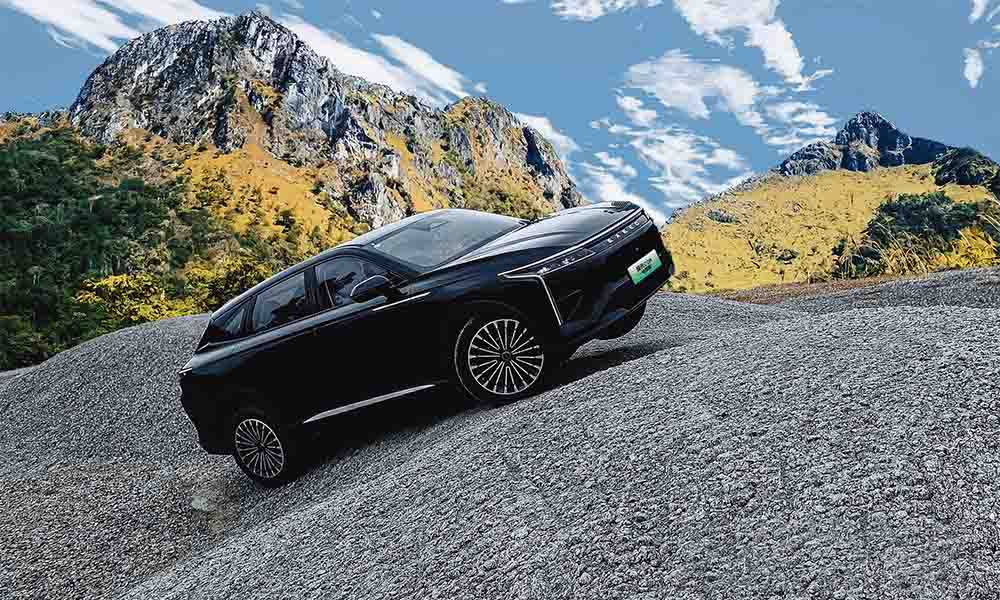 ��;����C-DM�������������(q��)����15.99�f