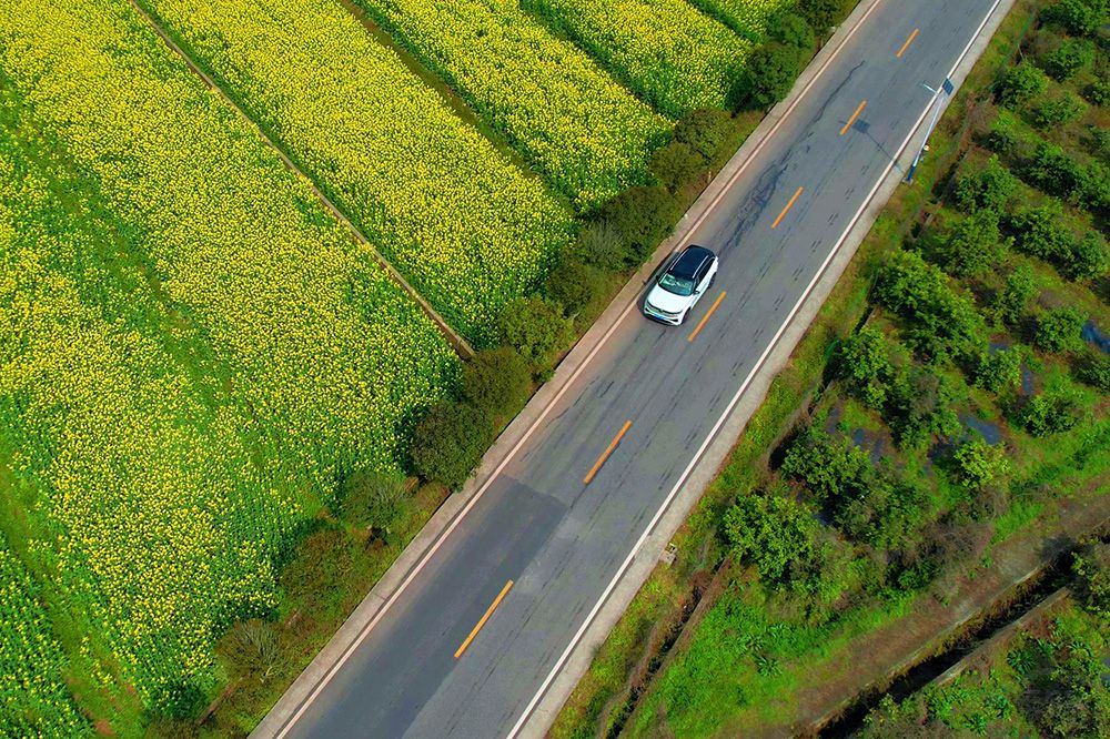 ԇ�{�󱊔�Ѳ��������SUV���Ǽ������B��