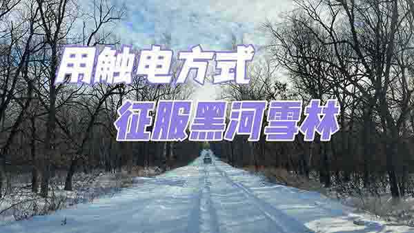  ��ID.4X ���|늷�ʽ�������ں�ѩ��