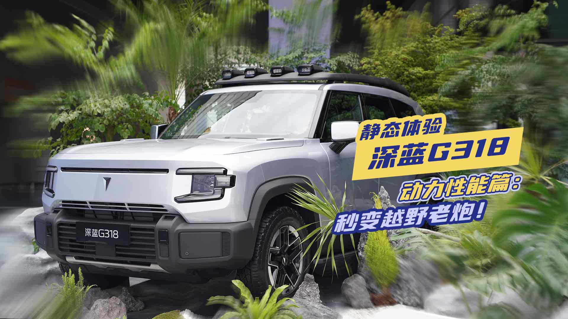 �o�B(t��i)�w����{(l��n)G318����ƪ����׃ԽҰ����