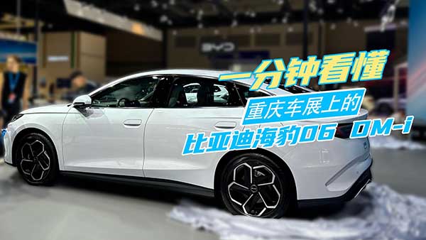 һ��犿���܇(ch��)չ�ϵıȁ��Ϻ���06 DM-i