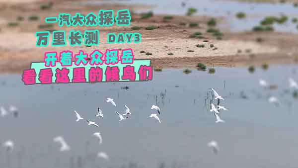 �_��һ����̽���������@��ĺ��B����