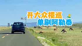 һ�����L(zh��ng)�y(c��)Day5�_(k��i)�󱊔�Ѳ��ˢ����̩