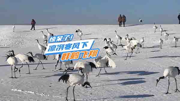 �C�����L(f��ng)�µ� Ⱥ�Q�w�����҂����@������