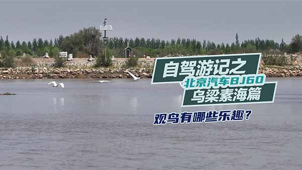 ������܇(ch��)BJ60���{��ӛ֮�����غ�ƪ