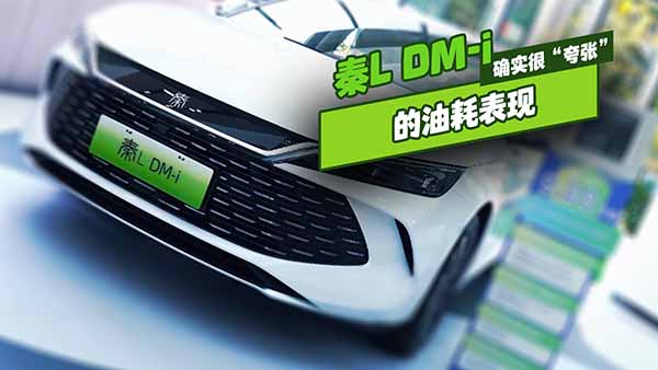 �ȁ�����L DM-i���ͺı��F���_���ܡ��䏈��