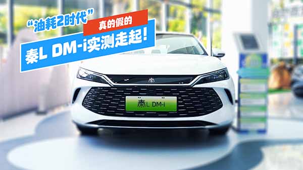 ���ͺ�2�r(sh��)������ļٵģ���L DM-i��(sh��)�y(c��)������