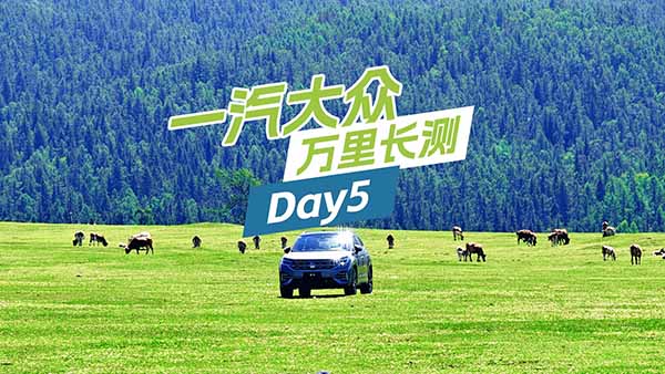 ���f���L�yDAY5���򿨡��ҵİ���̩��