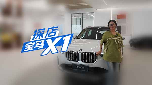 ̽�ꌚ�RX1��20�fԪ�Č��Rò��Ҳ�ܲ��e(cu��)