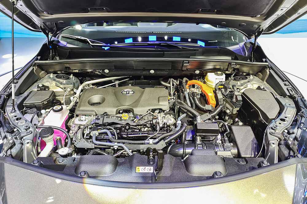 �P�c(di��n)2021�ذ�܇�� 