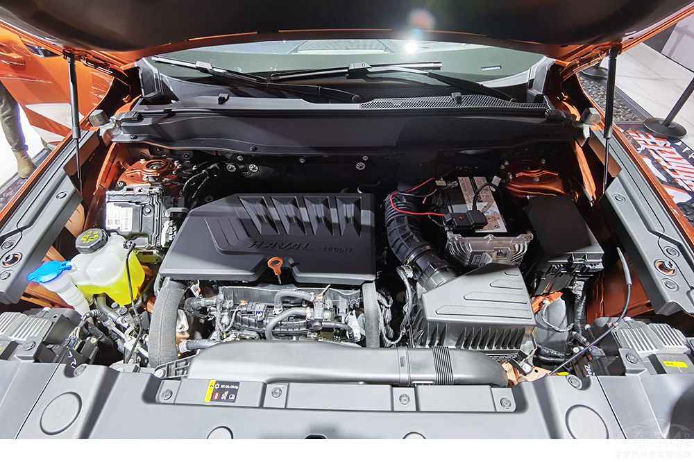 ��20�f(w��n)Ҳ����ԽҰ���@�׿�܇��ֵ�ÿ��]