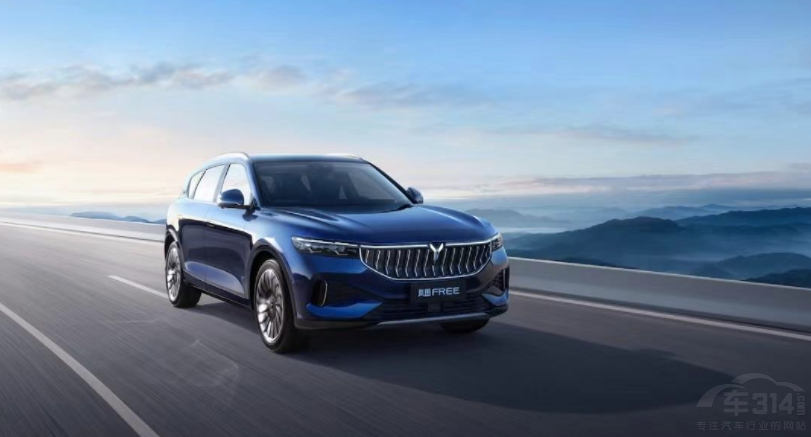 �ذ��߶���܇�P�c�����DFREEǰ�����n