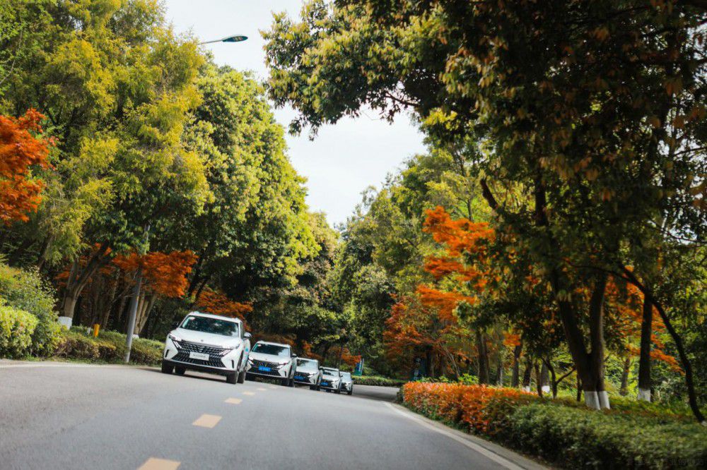 ��������(zh��n)ɽ�� 12�f���Aƽ�挍(sh��)�����_����