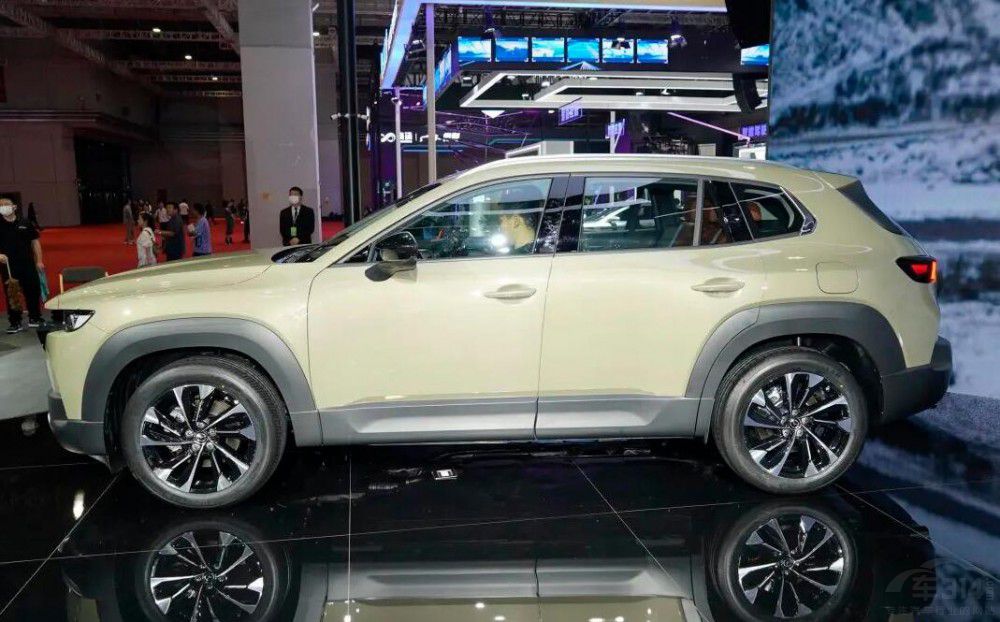 5���T��܇������ �A(y��)��20-30�fԪ���ٴ�