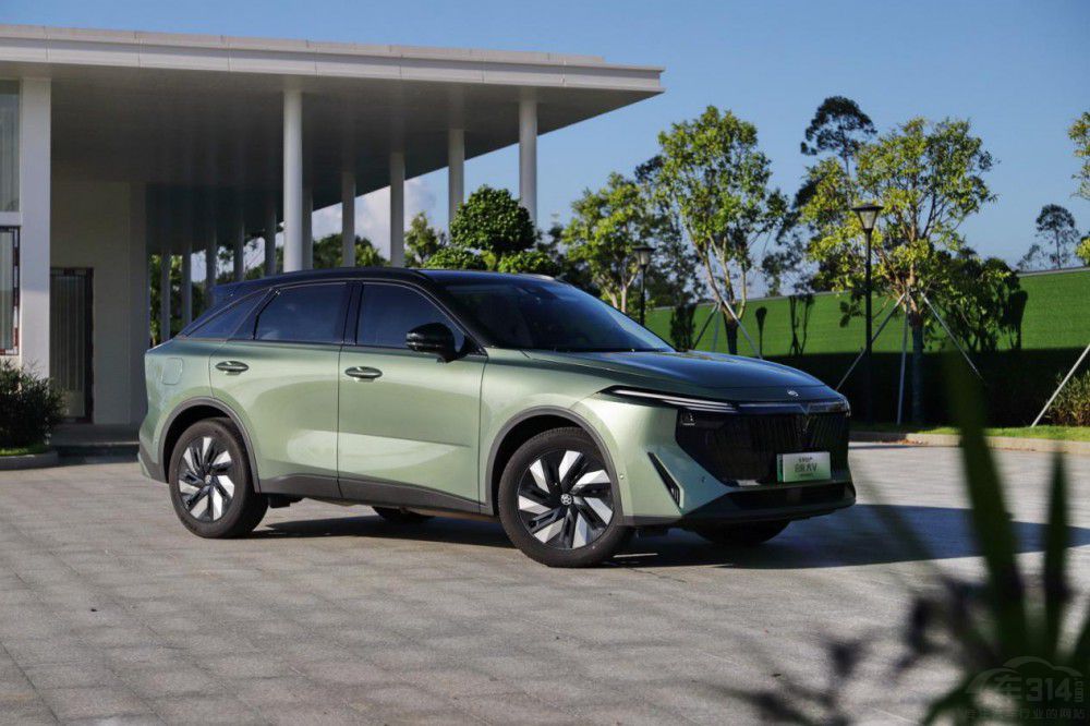 ��(du��)����Pro DM-i ������V DD-i��ֵ��һ��