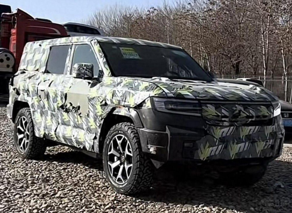 2024����ֵ���ڴ���ԽҰ �ȁ��ϲ�����