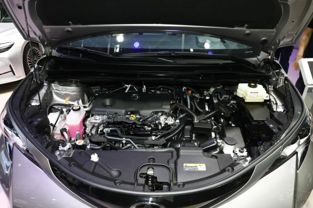 ���� ���(zh��n) ���Y��κ�Ƹ�ɽ ���� �S��ِ��