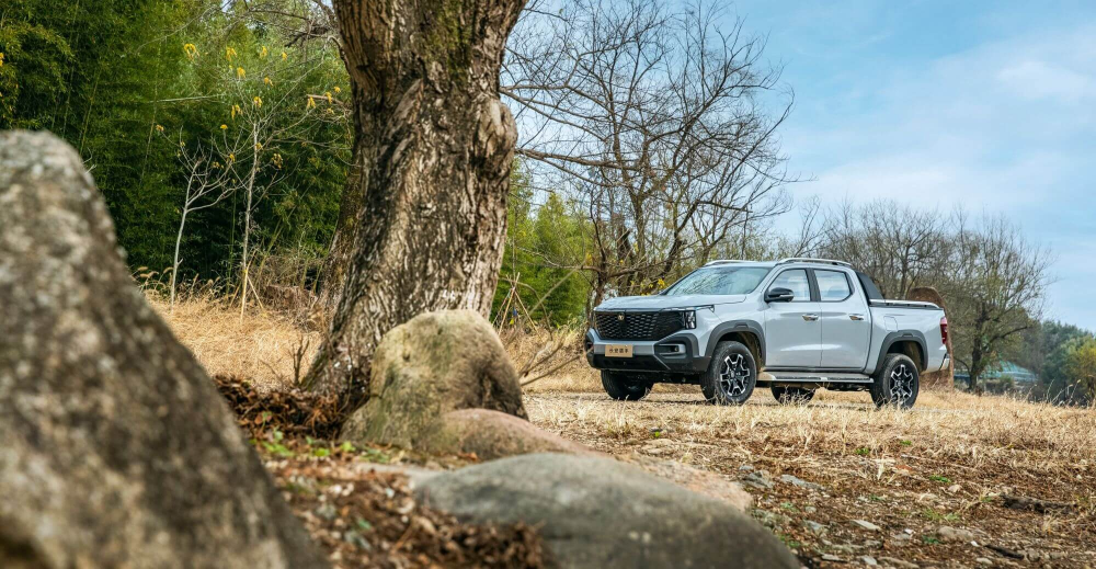 �m�����{�ε�����Ƥ�����L(zh��ng)���C�����ܰ�ȫ  