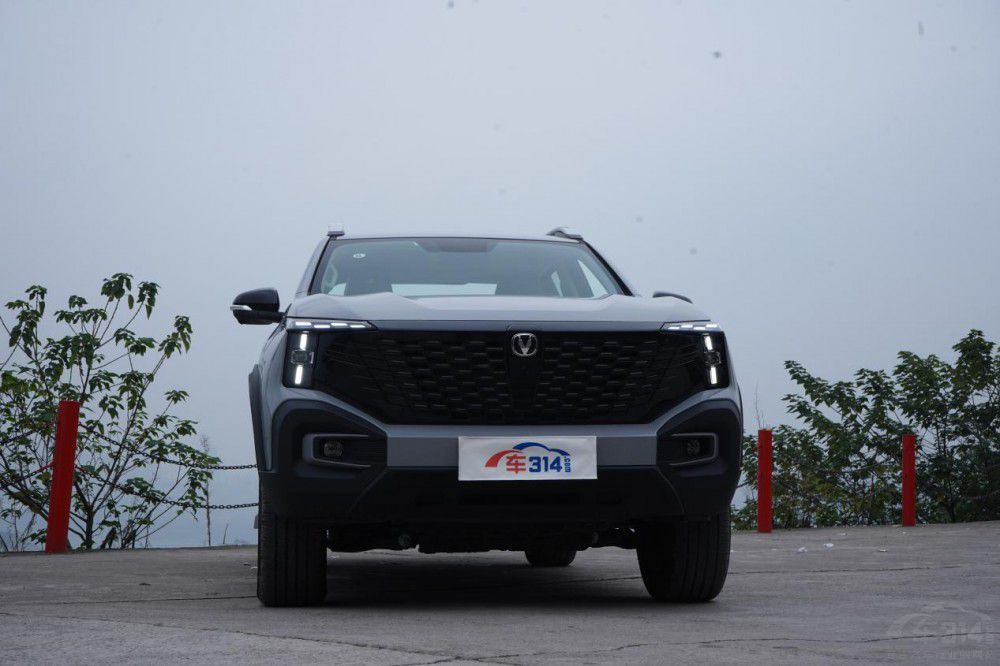 Ƥ�������d؛ԽҰ����߀������Щ��(y��u)�c(di��n)��