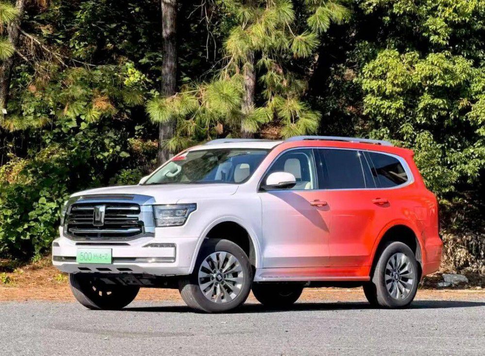 20�f�����_�ؼҵĳ����˚��Ӳ��ԽҰSUV