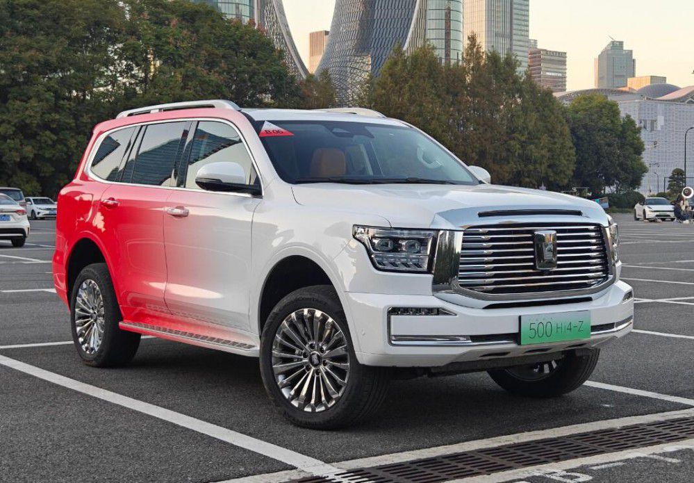 20�f�����_�ؼҵĳ����˚��Ӳ��ԽҰSUV