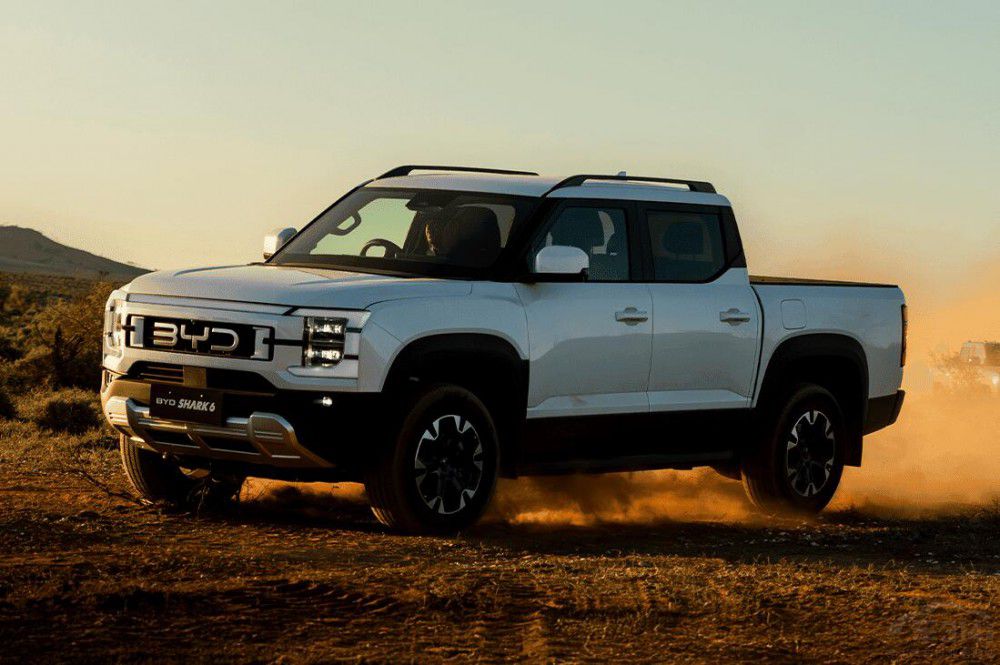 2025�ɴ���Ƥ����ǧƥ�R���қ]�_�㣡