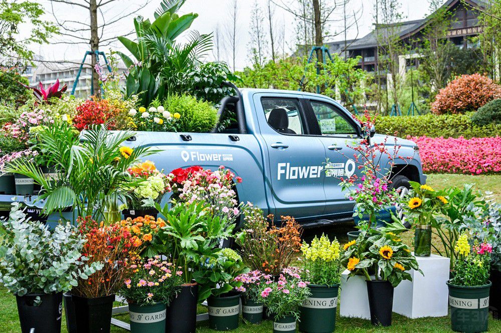 8.88�fԪ�� �r(sh��)������Ƥ��������������