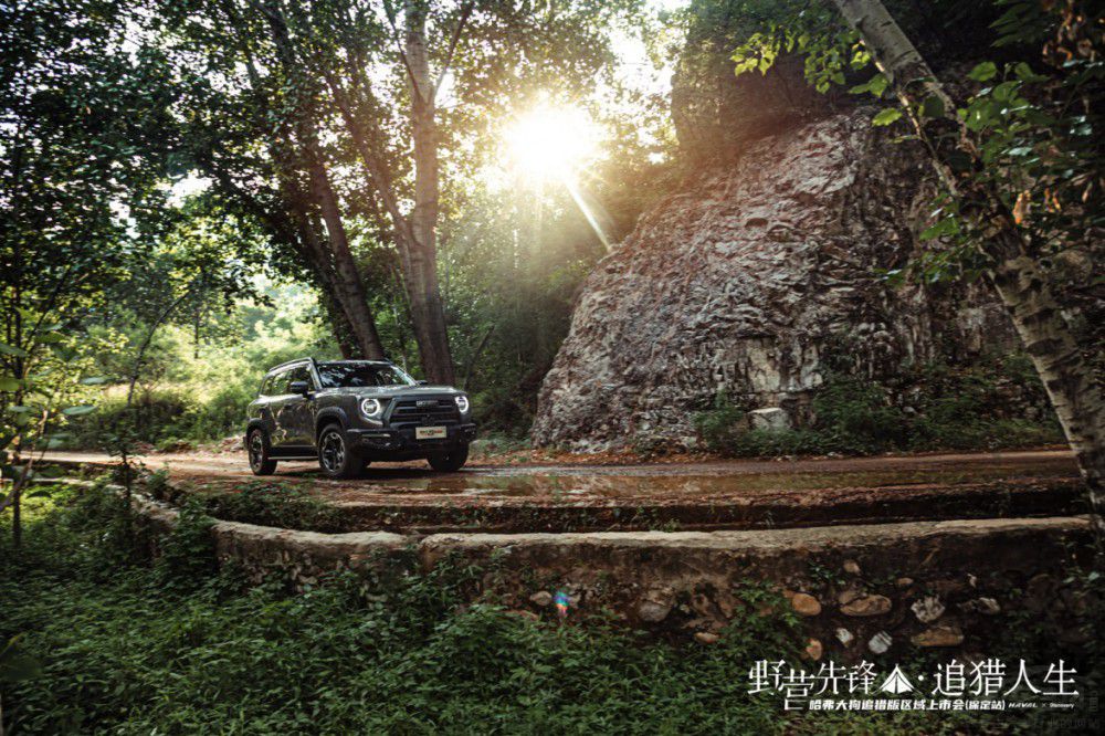 14.89�f�� ������׷�C�汣����ʽ����