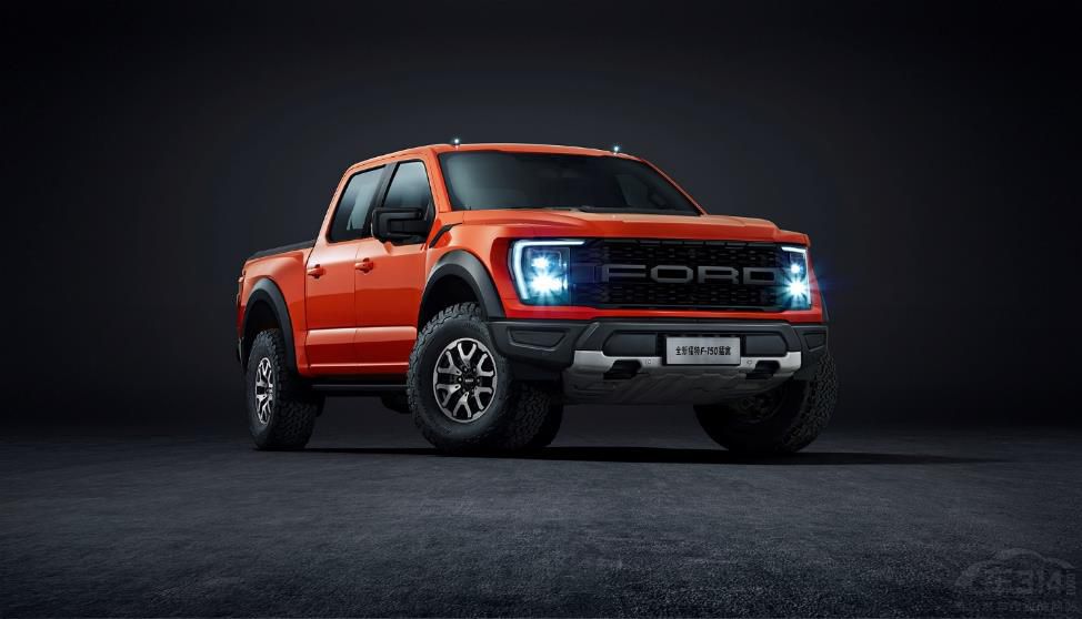 ������ԽҰƤ�� ����F-150������ʽ������