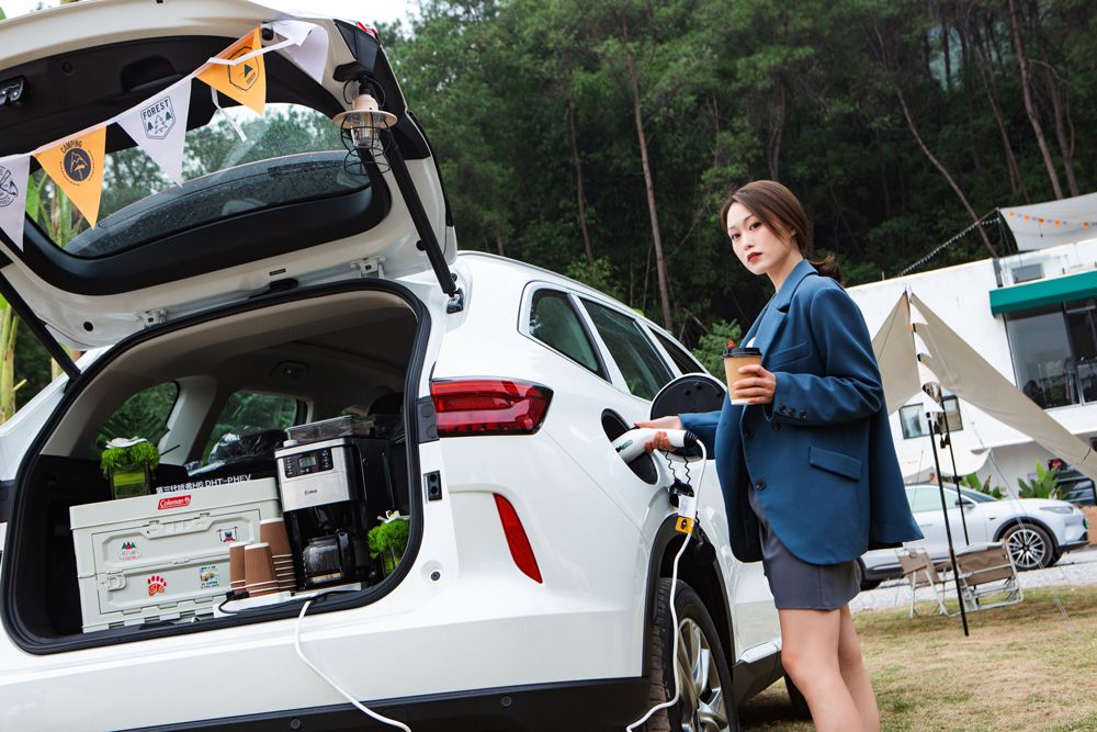 15.98�f(w��n)Ԫ�� H6 DHT-PHEV�^(q��)��ͬ�����У�