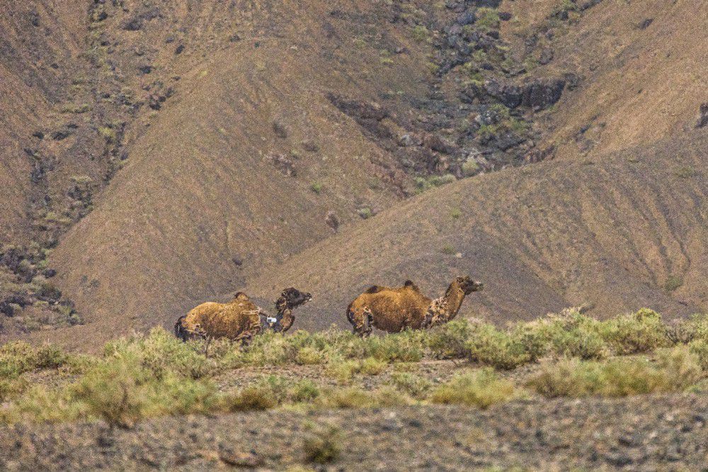 �L��Ƥ��2021��ȫ���N��ͻ����23.3�f�_