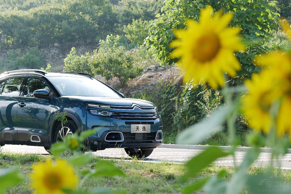 �|�L(f��ng)ѩ�F��?zh��)��ݎ����w�(y��n)�p�����m�ĳ���