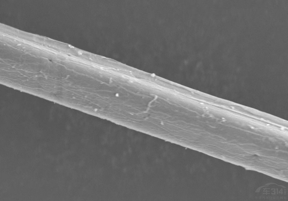 ��һ���ɵϚW�ИI(y��)����ԭ�w�S����������