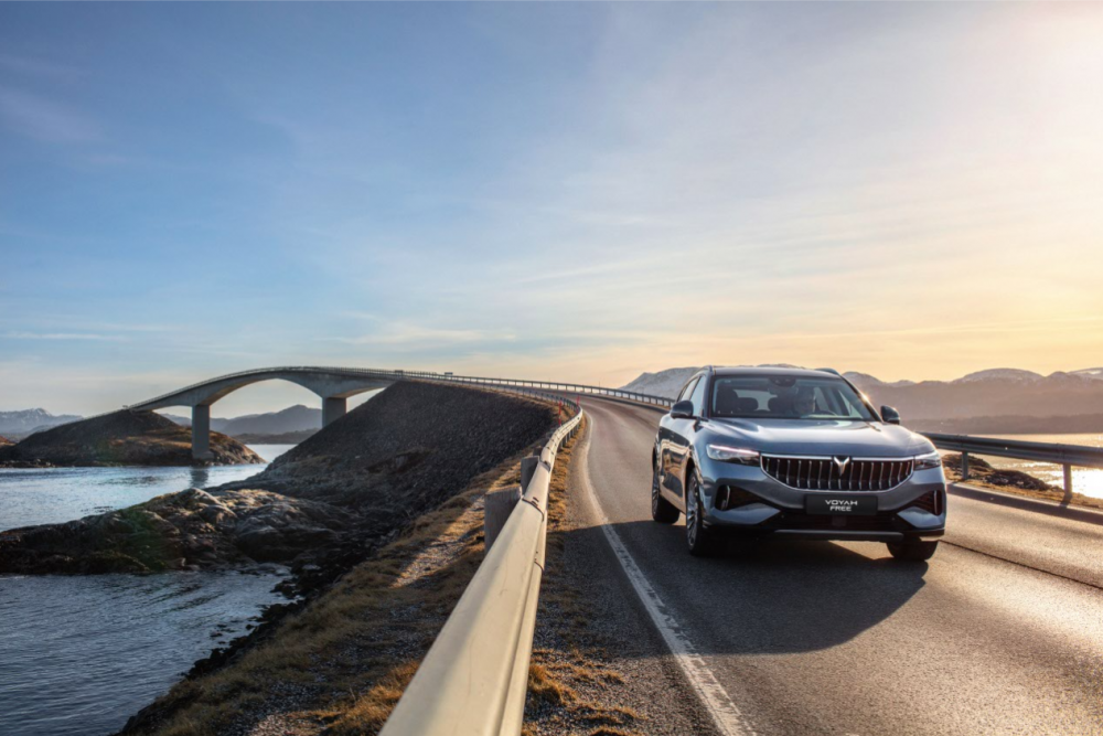 ���DFREE��ꑱ��W �����׼ҍ��DŲ���_�I(y��)