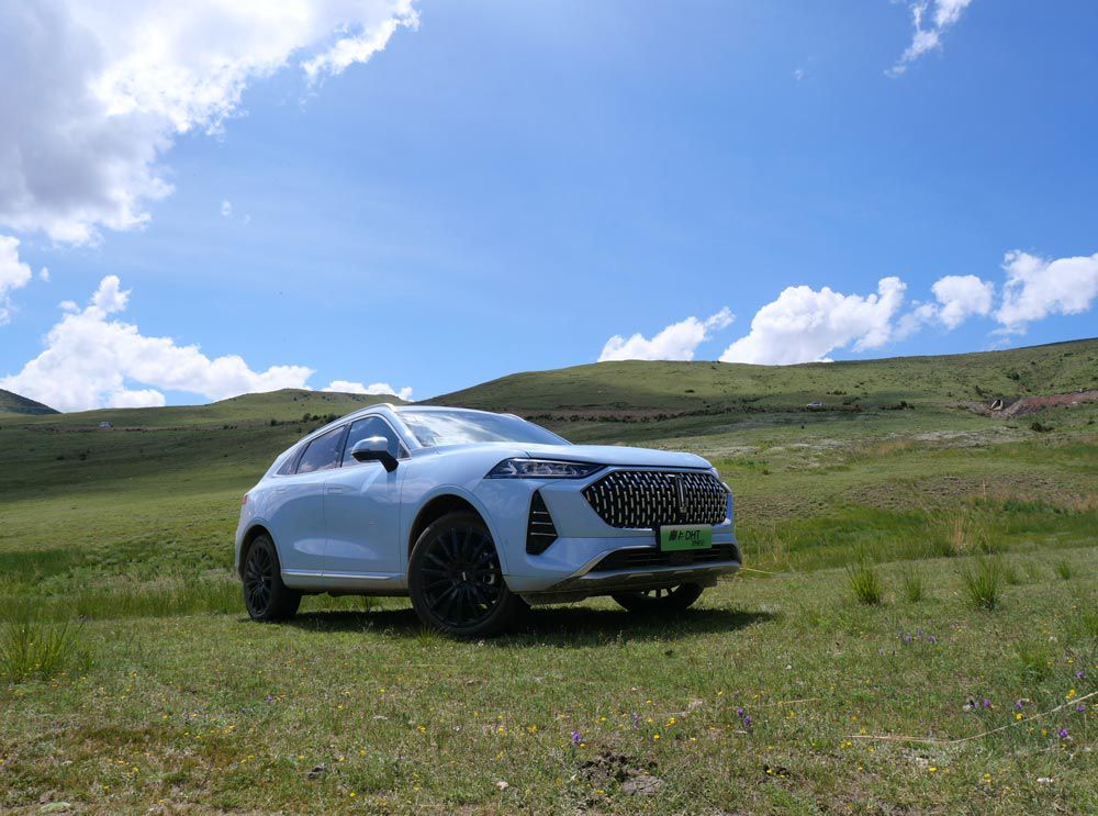 �L�����{(l��n)�͌��ֵĲ��s����N�������ġ���