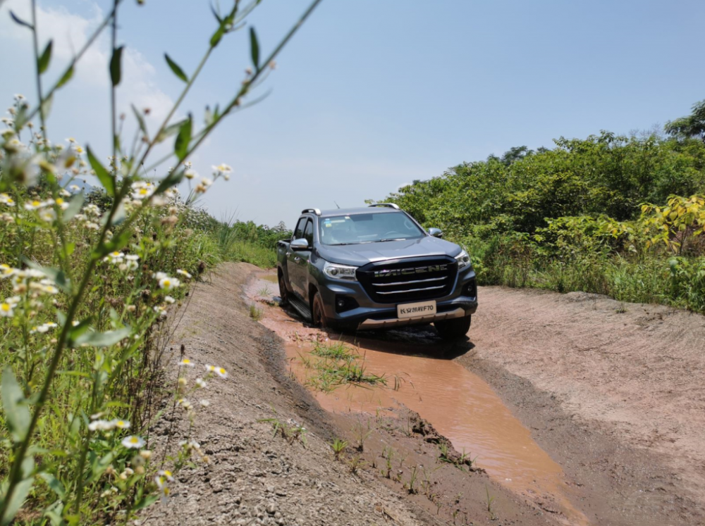 �絾���տ������L(zh��ng)���P��F70����⠻ݲ�ͣ