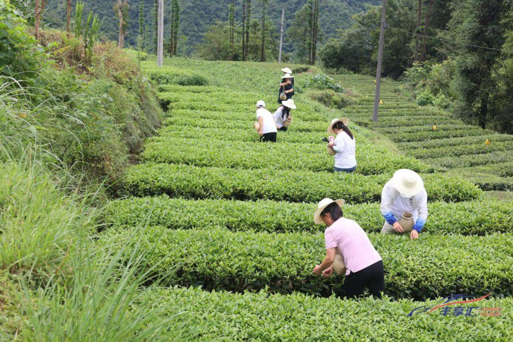 һ���S���S��R�S��Ӌ(j��)����������r(n��ng)֮�Æ�Ļ