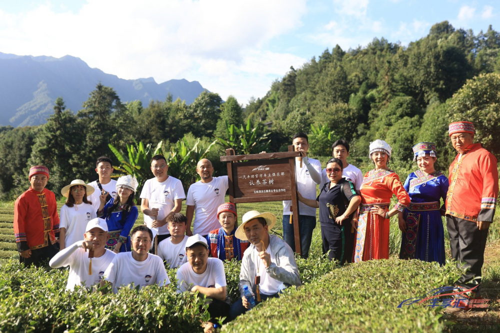 һ���S���S��R�S��Ӌ(j��)����������r(n��ng)֮�Æ�Ļ