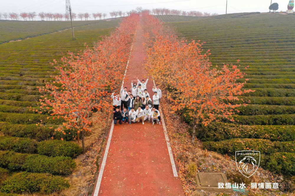 �|�L���«@ȫ���ׄ�(chu��ng)���w��+��ِ����шF꠪�