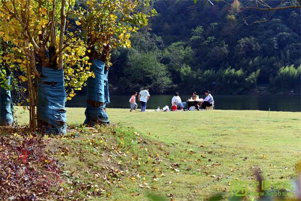 ����G318�o(j��)��Ӱ�������Ŀ�߄����e��