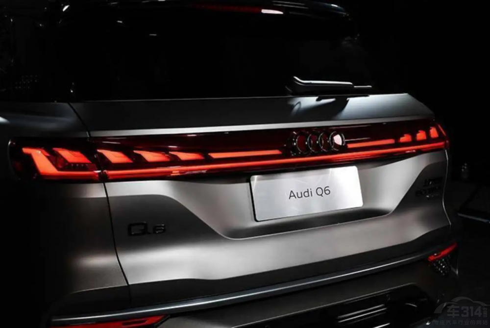 �����W���N���K���̶� �Z�Q�C����������