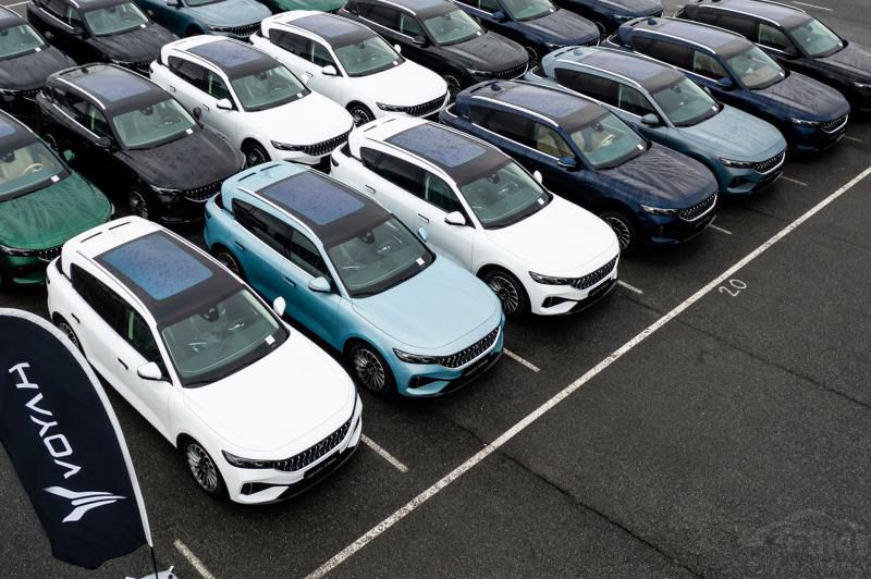 ���DFREE��Ų�����ӽ���Ŀǰ����136�_