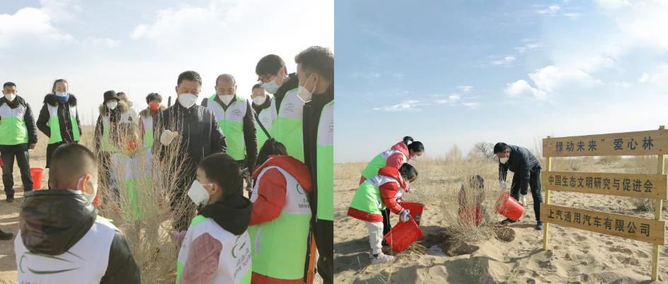 ���G��(d��ng)δ�����ٸ����C���� ��ɳĮ�����¾G