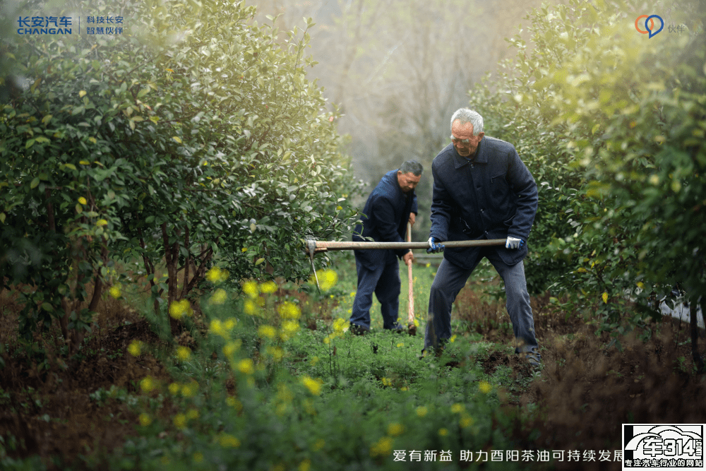 �������� �L���ͷ���ꖿ���¹������M�A