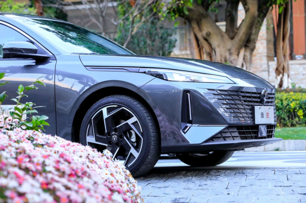 ���(l��i)���ϳɘ�(bi��o)�U ���_(d��)���������N�����f(w��n)��