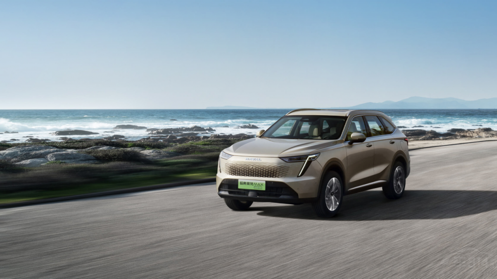 �Ĺ����n������ ���L����܇�ġ������(zh��n)�ۡ�