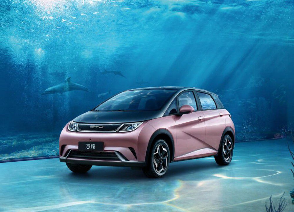 4���N(xi��o)������ �ȁ��Ϛ����� 20�f(w��n)��������