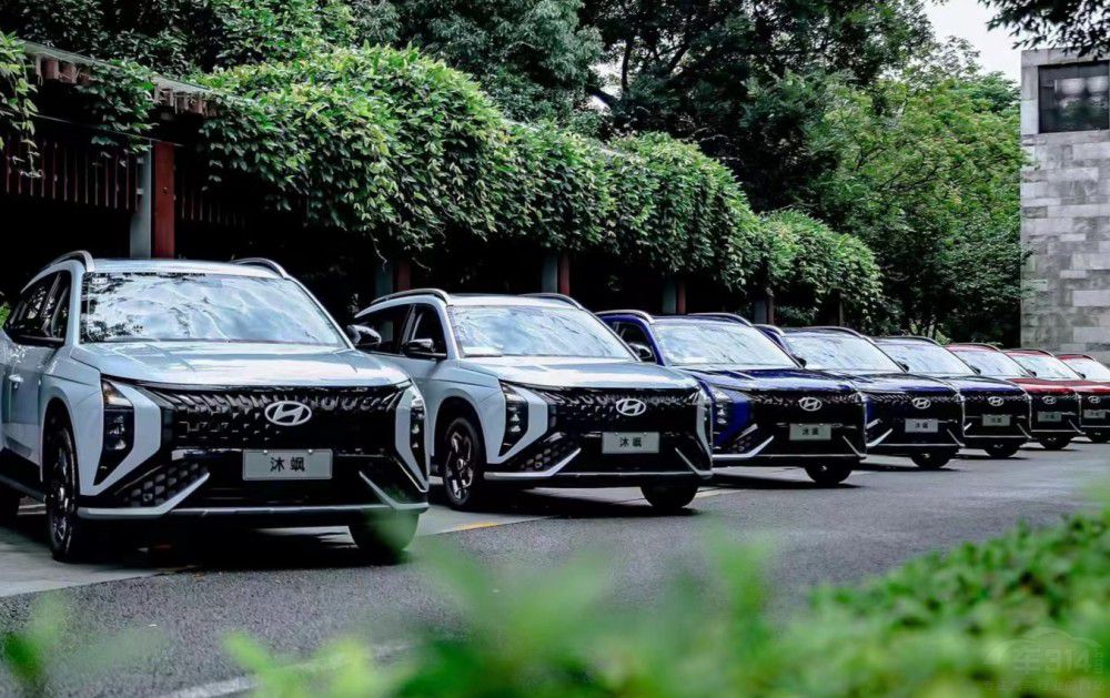 MUFASA���S���p��ͥ����·�ϵ�����ęn